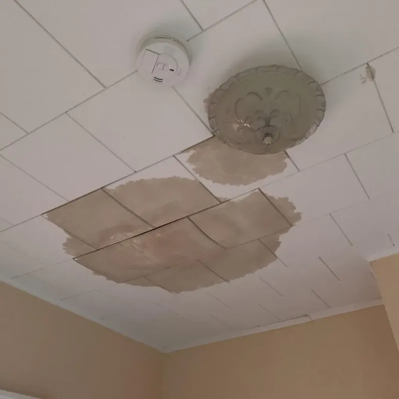 Ceiling Water Damage Repair in Lake Lakengren, OH