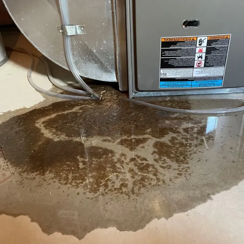 Pipe Burst and Leak Restoration in Lake Lakengren, OH