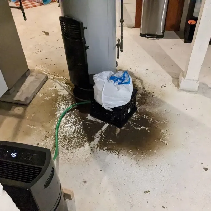 Sewage Backup Cleanup Service in Lake Lakengren, OH